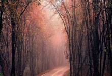 凯尔特人终结湖人八连胜 詹皇末节伤退.