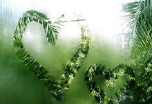 中国球员张帅与网球相伴30年——“无论输赢，都要坚定做自己”人民日报.