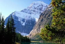 马尔科承认 用角田替换劳森 维斯塔潘不高兴了.