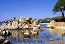 国乒队员于子洋宣布退出国家队：因为陪伴家人和个人伤病齐鲁晚报.